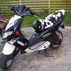 Peugeot Speedfight 2 WRC