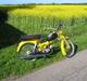 Puch MS50