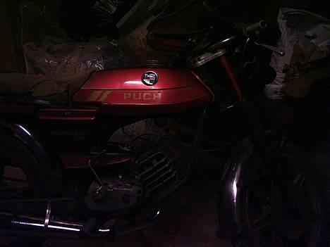 Puch Monza Juvel billede 3