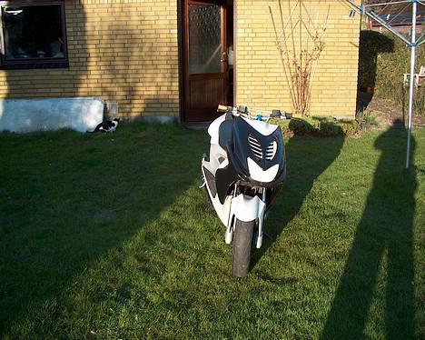 Yamaha Aerox - Nye pics billede 7