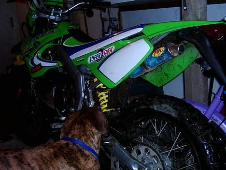 Derbi senda r x-treme billede 8