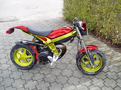 Suzuki street magic - kunne være en potentiel farve hvis den ikke bliver solgt, men så beholder jeg den billede 4