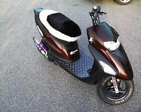 Honda SFX billede 5