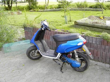 Piaggio Typhoon (SOLGT) - Ja her er den så :) billede 1