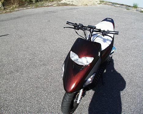 Honda SFX billede 2