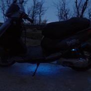 PGO Dr. big SOLGT Jette.