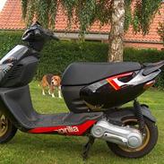 Aprilia Sonic gp