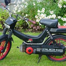 Puch Maxi II Plus
