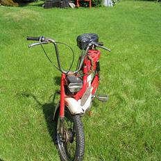 Malaguti Dribbling special