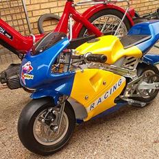 MiniBike Made in china "Hirtshals"