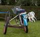 Honda Amigo "pro Extrem# M-Side