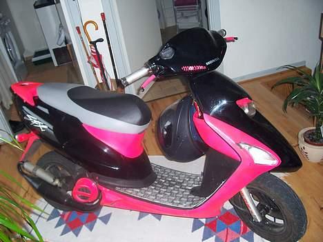 Honda SFX billede 18