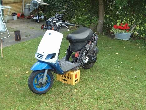 Piaggio zip / typhoon - det så liget?.. som det står li nu billede 1