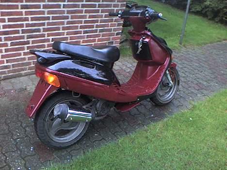 Adly silverfox til salg... billede 6