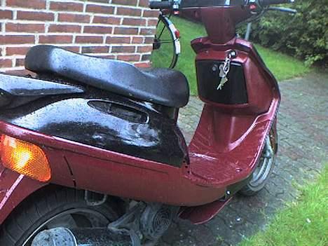 Adly silverfox til salg... billede 7