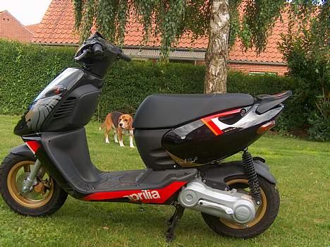 Aprilia Sonic gp billede 1