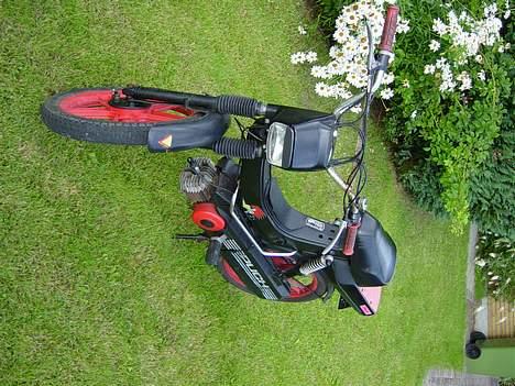 Puch Maxi II Plus billede 2