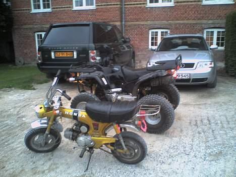 Honda Dax 50 billede 7