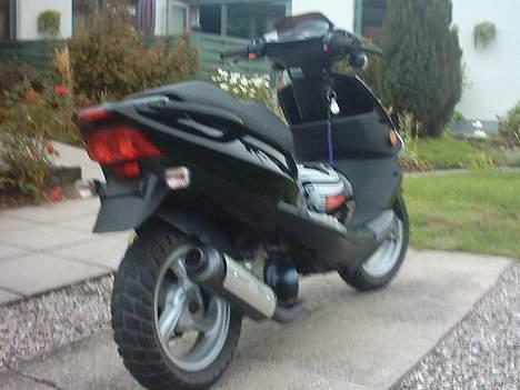 PGO Dr.Big solgt billede 5