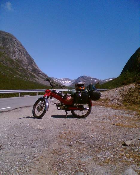 Tomos Cross S 5 gear - Har lige været i Norge på ferie med den og rundet 2000km med div. bjerg kørsel... Stik lige den! billede 4