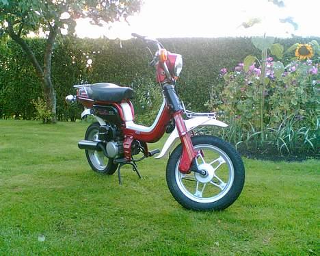 Suzuki FZ50 billede 2