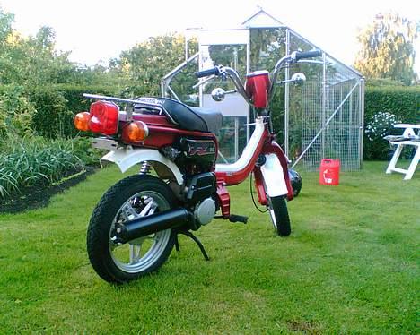 Suzuki FZ50 billede 4