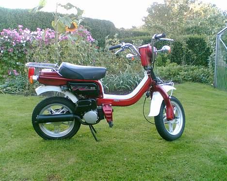 Suzuki FZ50 billede 5