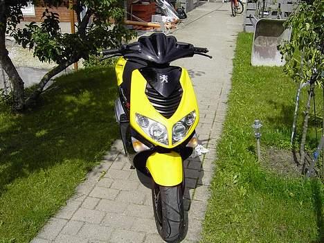 Peugeot Speedfight 2 AC billede 3