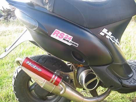 Gilera stalker  SOLGT - Hebo titan + grise tryne. Den side skjold er da oss fin nok malet?:) billede 9