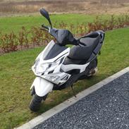 PGO G Max