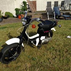 Suzuki Fz 50 (Det sorte lyn)