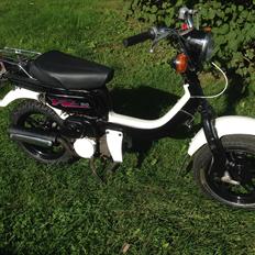 Suzuki Fz 50 (Det sorte lyn)