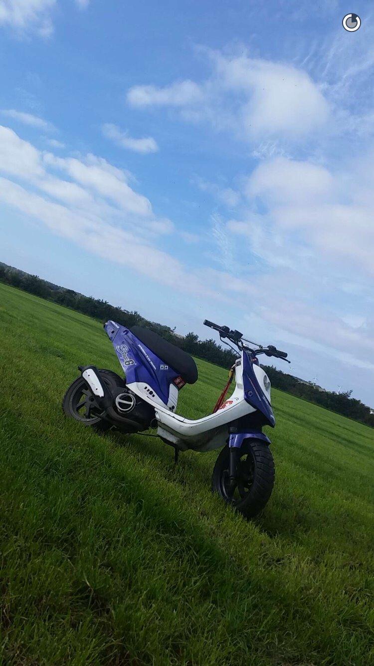 PGO Hot 50 billede 2