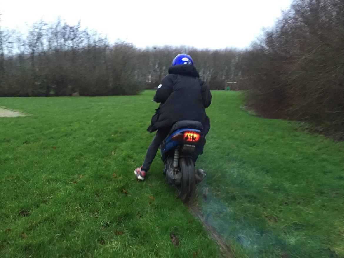Gilera Stalker billede 17