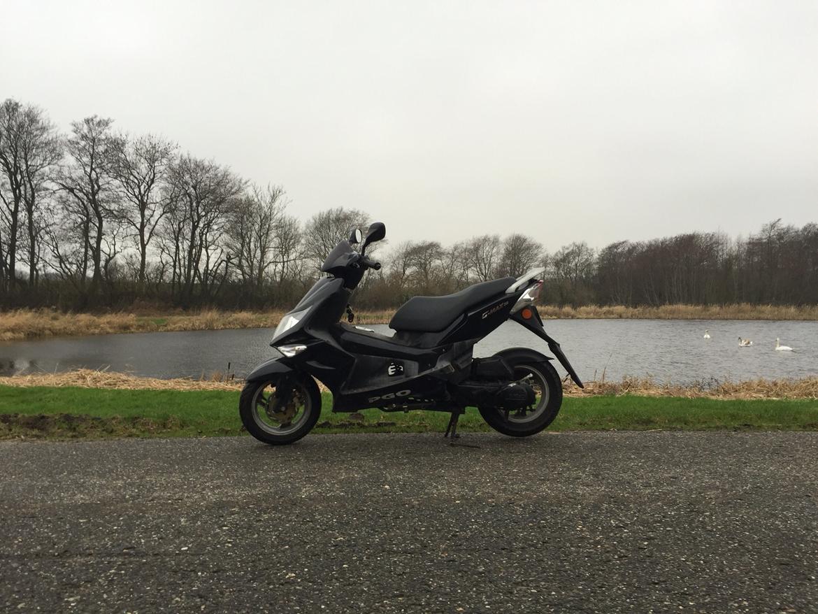 PGO G-Max billede 11