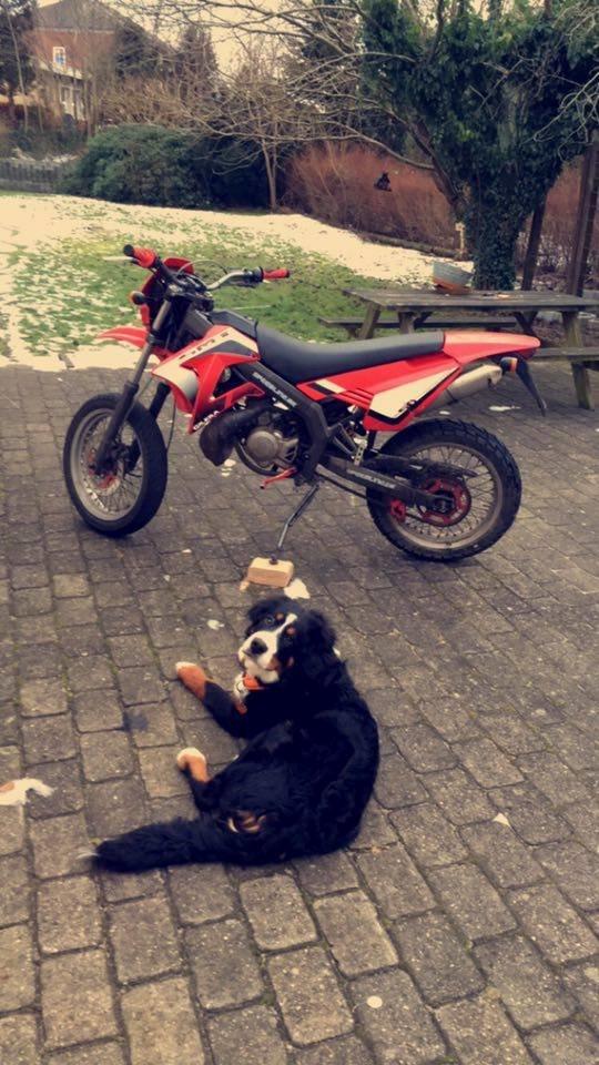 Gilera SMT billede 5