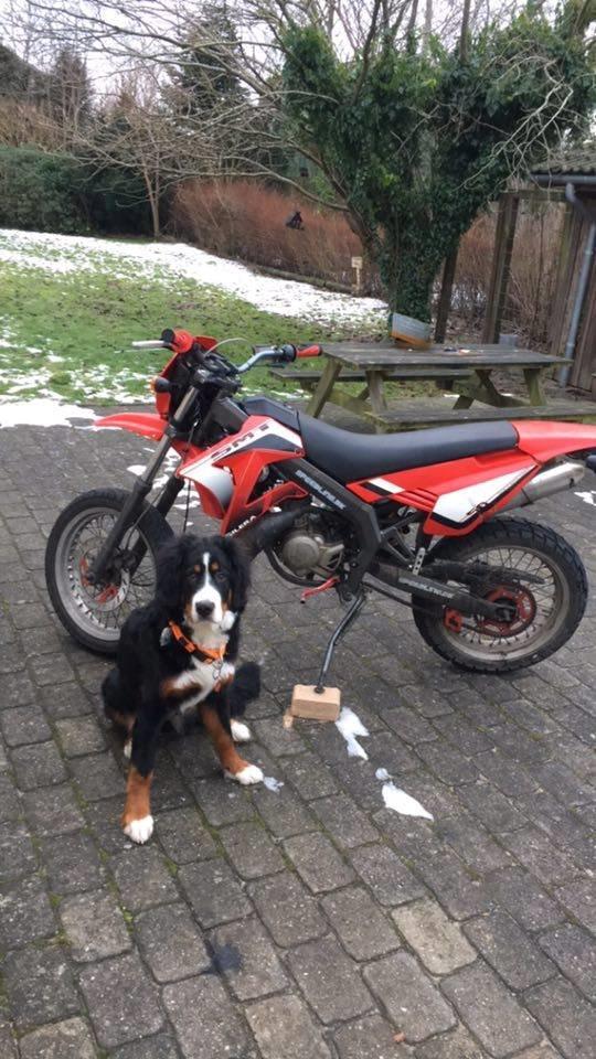 Gilera SMT billede 4