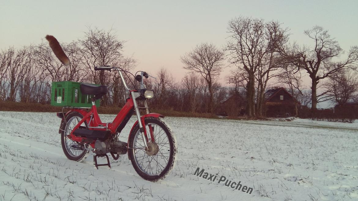 Puch Maxi K billede 9