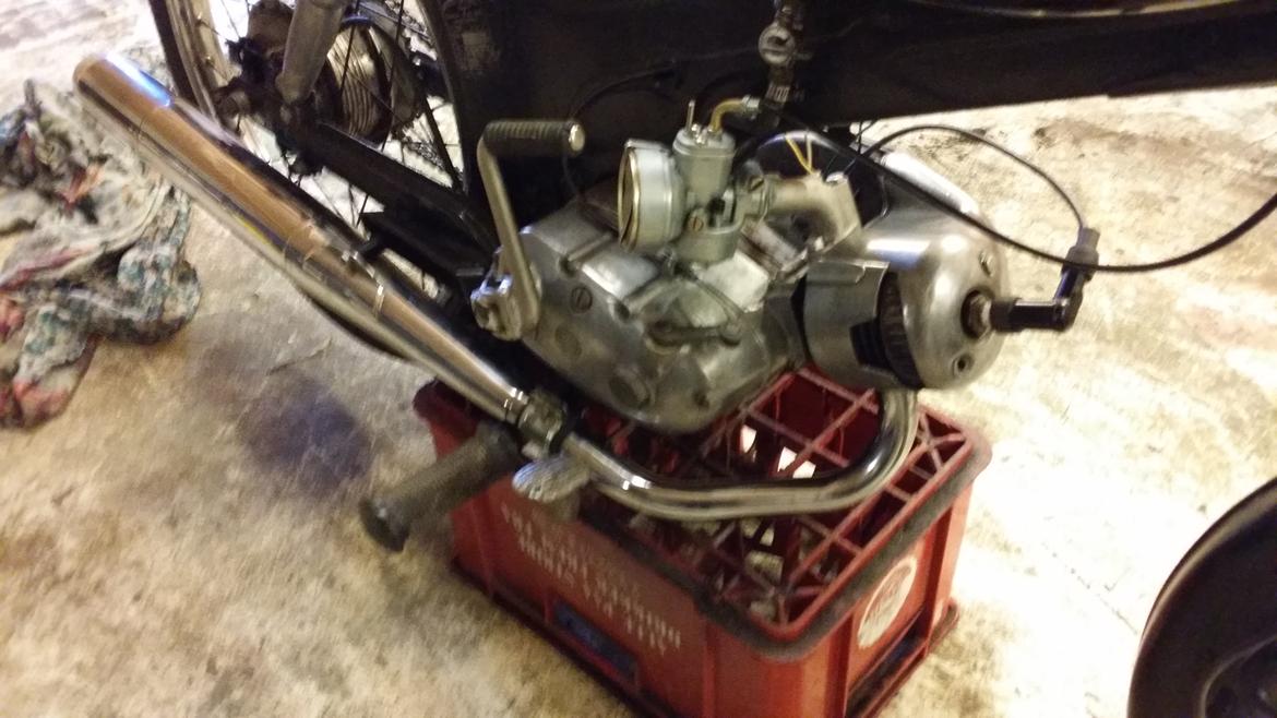 Puch Ms 50' "vilddyret"  billede 10