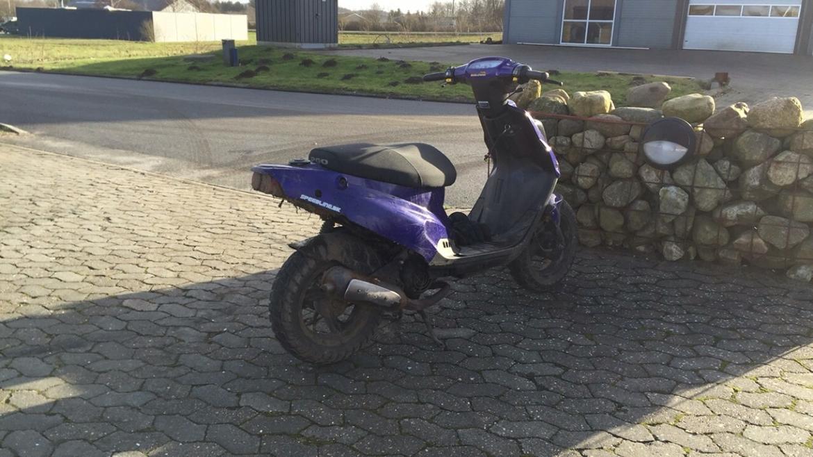 PGO Hot 50 billede 2