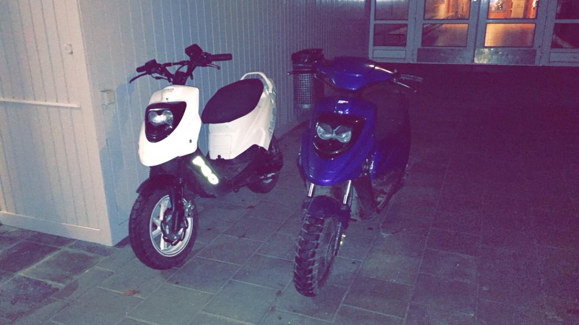 PGO Hot 50 billede 4