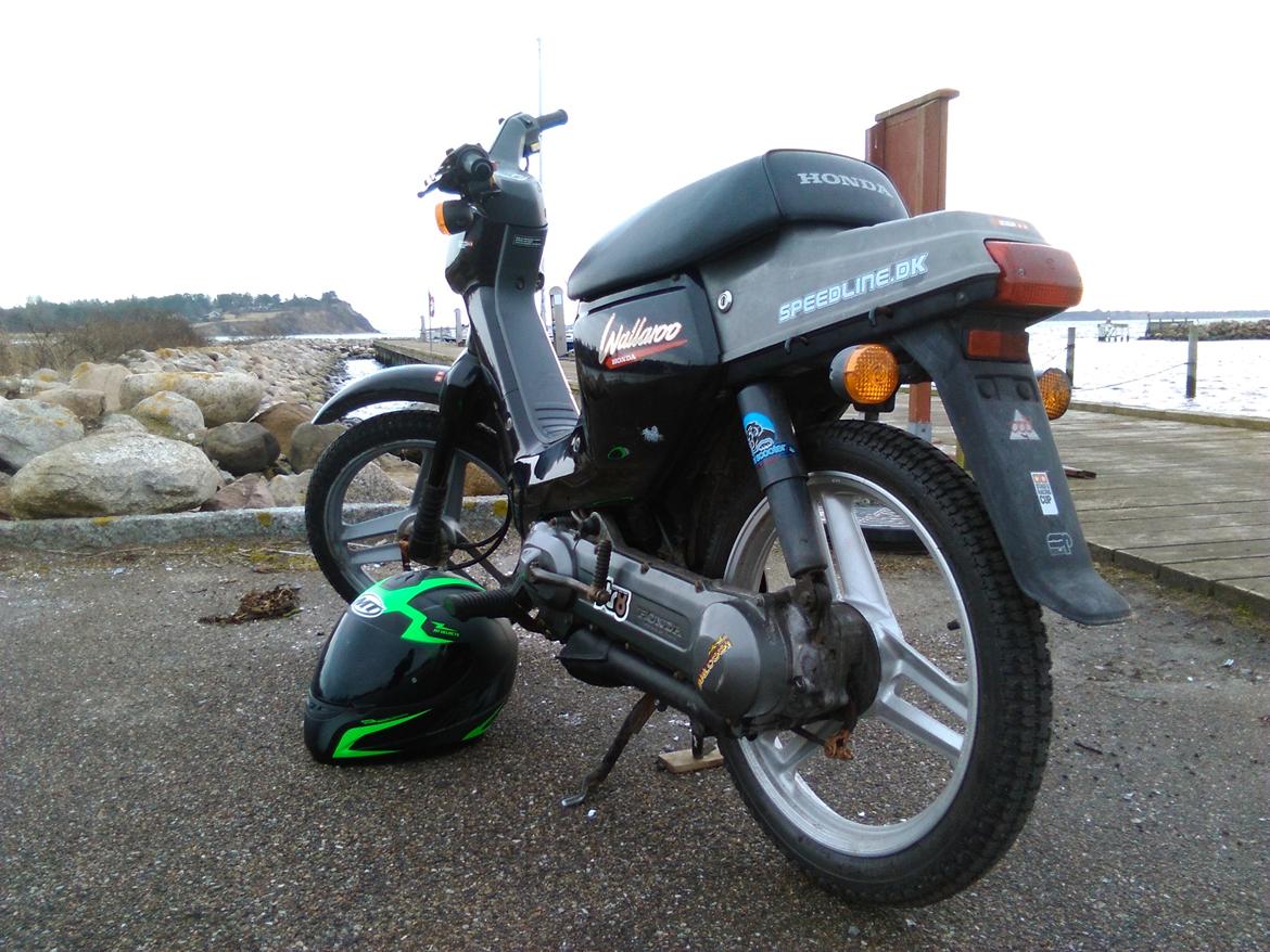 Honda Wallaroo (Trofast) SOLGT: ( - På havnen billede 15