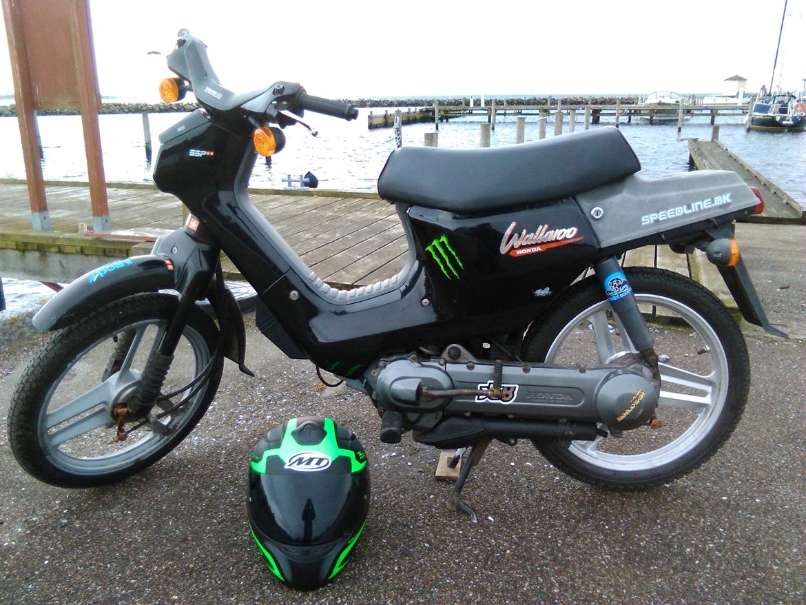 Honda Wallaroo (Trofast) SOLGT: ( - På havnen billede 16