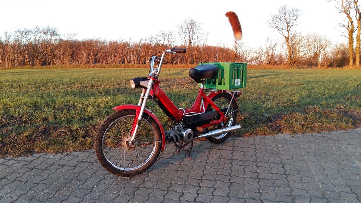 Puch Maxi K billede 13