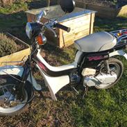 Suzuki FZ50