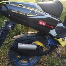 Aprilia Aprilia Aprilla sr50 Ditech