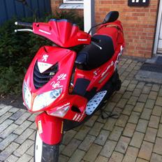 Peugeot speedfight 2 206 wrc