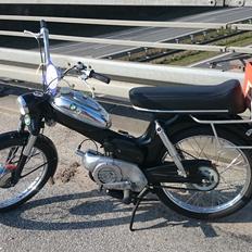 Puch Ms 50