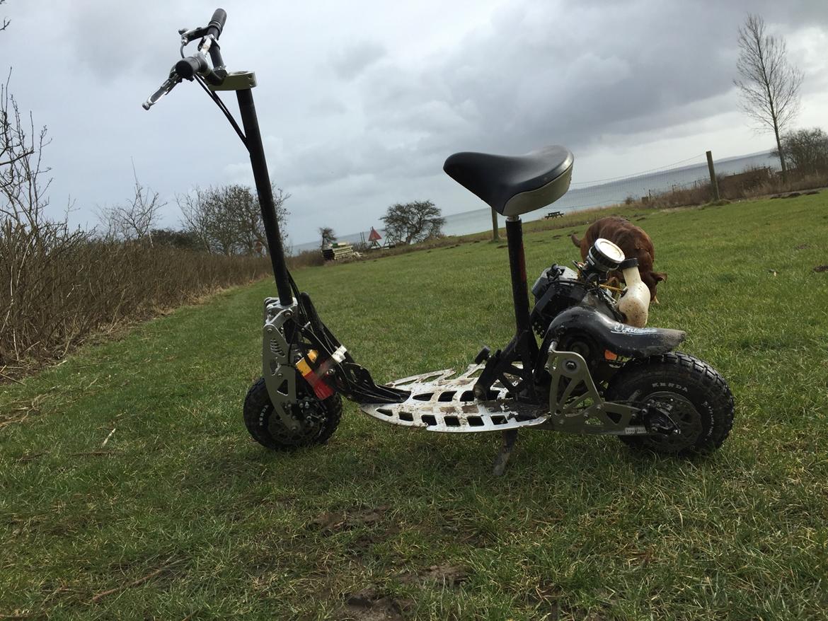 MiniBike Megaleg Benzin Løbehjul billede 1