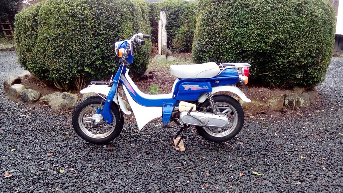 Suzuki FZ50 billede 2